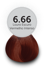 6.66_louro_escuro_vermelho_intenso