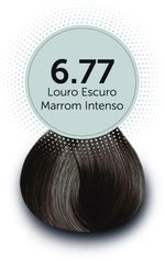 6.77_louro_escuro_marrom_intenso