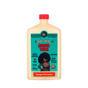 Shampoo Sem Sulfato Lola Cosmetics Meu Cacho Minha Vida 500ml