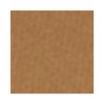 po-compacto-facial-dailus-vegano-d8-medio-10g-3