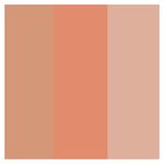 Paleta-de-Contorno-Blush-e-Iluminador-BFF-Vizzela-Cor-02-75g-2