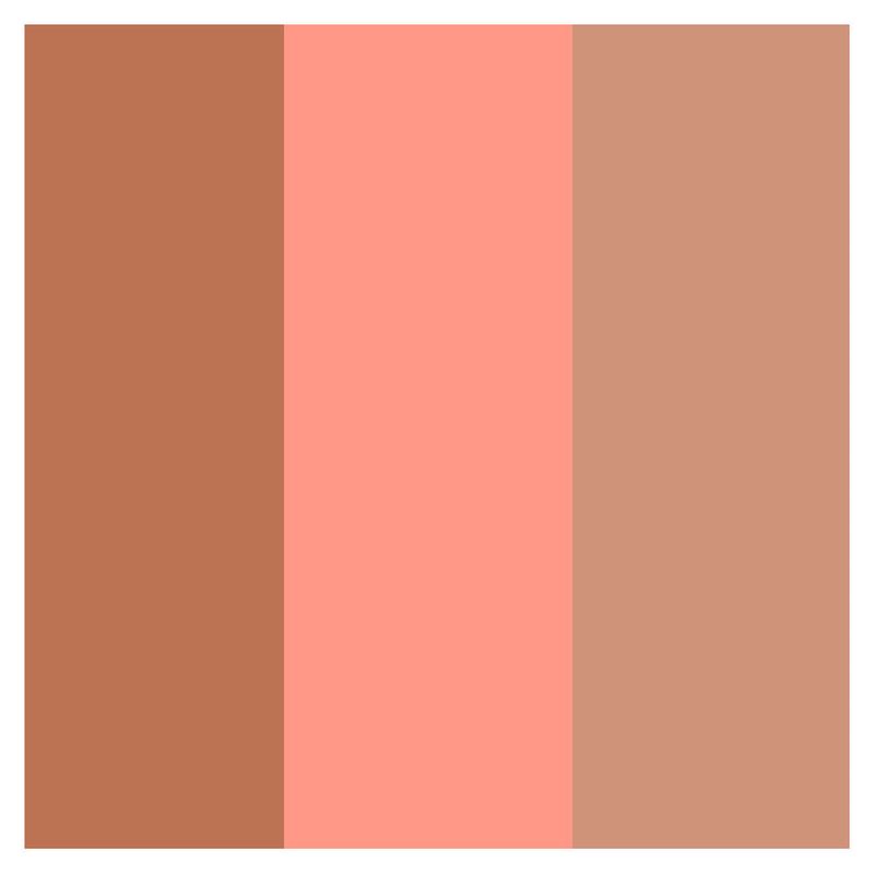Paleta-de-Contorno-Blush-e-Iluminador-BFF-Vizzela-Cor-03-75g-2