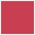 Blush-Liquido-Vizzela-Oh-My-Blush-Cor-04-Plum-Red-6ml-3