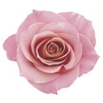 7891033925643-condicionador-eudora-siage-4d-nutri-rose-200ml-3