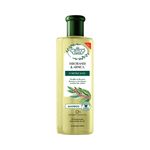 7896671620028-shampoo-flores-vegetais-jaborandi-e-arnica-310ml-1