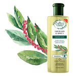 7896671620028-shampoo-flores-vegetais-jaborandi-e-arnica-310ml-2