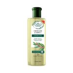 7896671630027-Condicionador-Jaborandi---Arnica-Fortificante-Flores---Vegetais-300ml-1