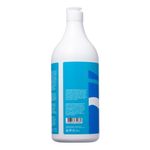 7898556754385-shampoo-lowell-extrato-de-mirtilo-blueberry-extract-1l--3-