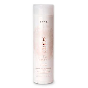Shampoo Antioxidante e Nutritivo Braé Soul Color 250ml