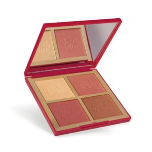 Paleta Iluminadora Niina Secrets Multifuncional Luminous