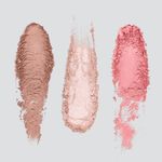 7894222031149-Paleta-Contorno-Iluminador-Blush-Dailus-Pele-de-Milhoes-1--4-
