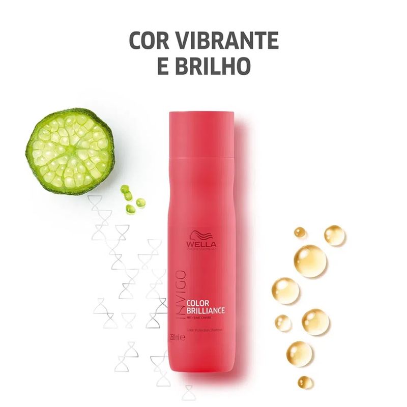 4064666316246-Shampoo-Wella-Professionals-Invigo-Color-Brilliance-250ml--2-