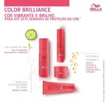 4064666316246-Shampoo-Wella-Professionals-Invigo-Color-Brilliance-250ml--3-