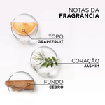7908615060606-Shampoo-Loreal-Paris-Glycolic-Gloss-400ml_5