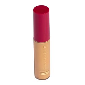 Corretivo Niina Secrets Perfect Match Cor 45 10ml