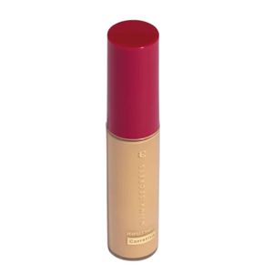 Corretivo Niina Secrets Perfect Match Cor 25 10ml