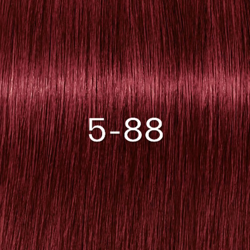 4045787961973_2
