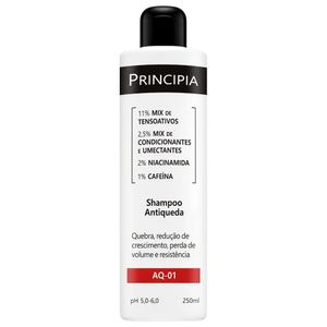 Shampoo Antiqueda Principia 250ml