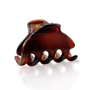 Prendedor Finestra Pequeno Tartaruga 2,5x2,5cm