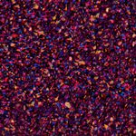 4064665161212_3